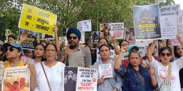 What’s Next? SC Revises Stray Dog Order, Directs Sterilisation and Return but Dog Lovers, NGOs Asked to Deposit Costs