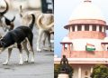 Supreme Court Orders Aggressive Sterilisation to Control Stray Dog Population: A Landmark Verdict Ensures Public Safety & Animal Welfare