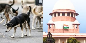 Supreme Court Orders Aggressive Sterilisation to Control Stray Dog Population: A Landmark Verdict Ensures Public Safety & Animal Welfare