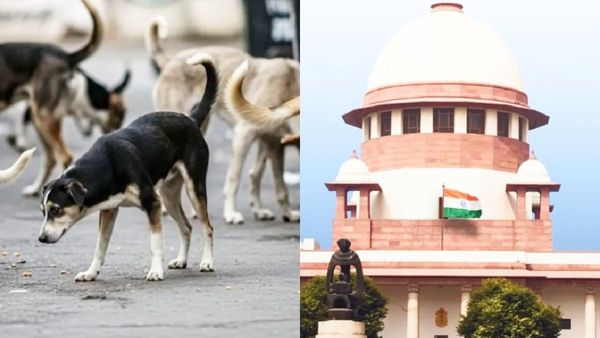Supreme Court Orders Aggressive Sterilisation to Control Stray Dog Population: A Landmark Verdict Ensures Public Safety & Animal Welfare