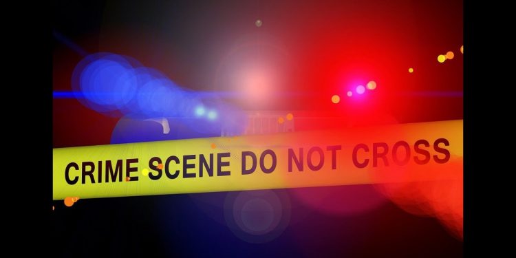 Teenage Girl and Friends Held for Killing Mother and Faking Suicide in Bengaluru