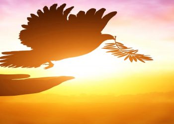 Ukraine Moves Toward Peace Deal Framework With Russia