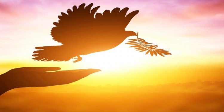 Ukraine Moves Toward Peace Deal Framework With Russia