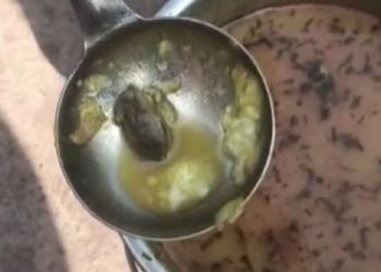Frog Allegedly Found in Midday Meal at Gwalior Primary School