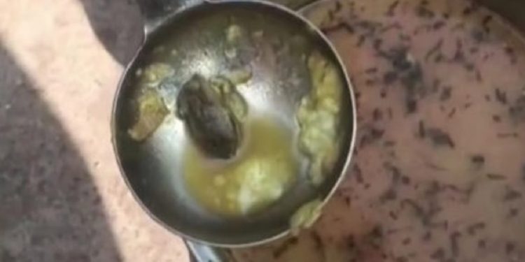 Frog Allegedly Found in Midday Meal at Gwalior Primary School