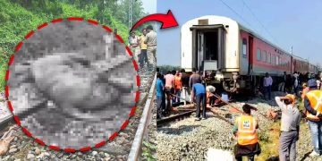 Seven Elephants Killed After Rajdhani Express Hits Herd in Assam