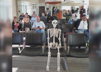 Brief Panic at Delhi Airport After Skeleton Found in Passenger Luggage