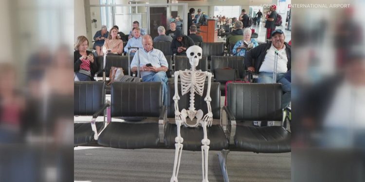 Brief Panic at Delhi Airport After Skeleton Found in Passenger Luggage